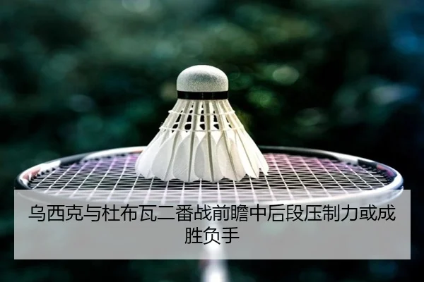 乌西克与杜布瓦二番战前瞻中后段压制力或成胜负手